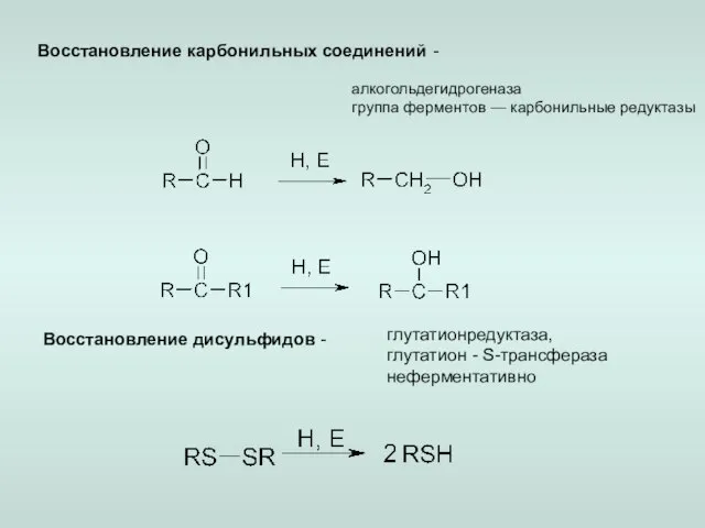 Восстановление карбонильных соединений - алкогольдегидрогеназа группа ферментов — карбонильные редуктазы Восстановление дисульфидов