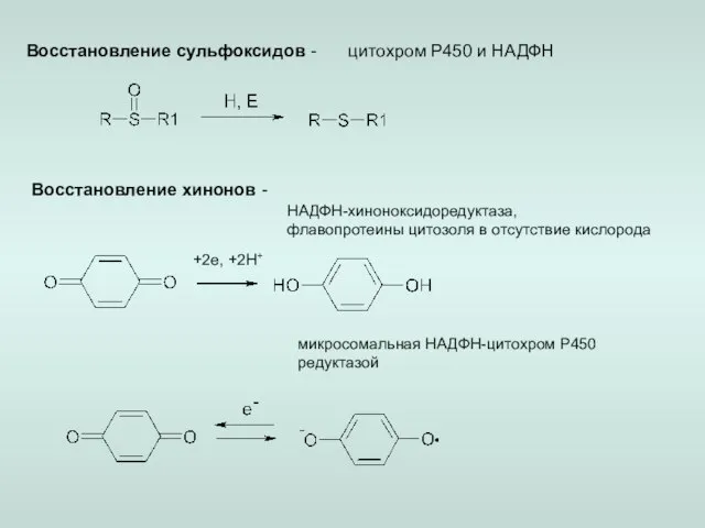 Восстановление сульфоксидов - цитохром Р450 и НАДФН Восстановление хинонов - +2e, +2H+