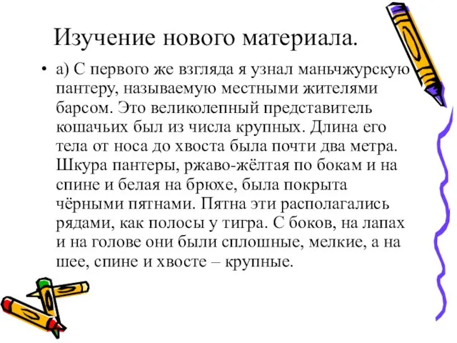 Изучение нового материала. а) С первого же взгляда я узнал маньчжурскую пантеру,