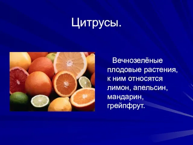 Цитрусы. Вечнозелёные плодовые растения, к ним относятся лимон, апельсин, мандарин, грейпфрут.