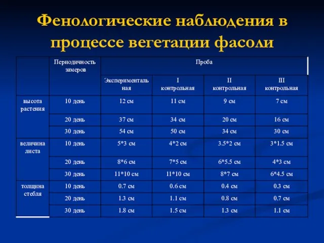 Фенологические наблюдения в процессе вегетации фасоли