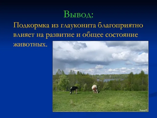 Вывод: Подкормка из глауконита благоприятно влияет на развитие и общее состояние животных.