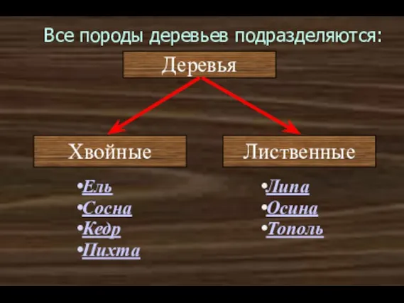 Все породы деревьев подразделяются: Деревья Хвойные Лиственные Ель Сосна Кедр Пихта Липа Осина Тополь