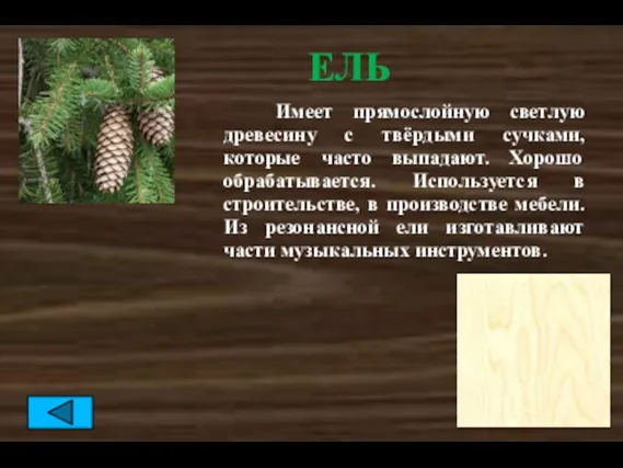 ЕЛЬ Имеет прямослойную светлую древесину с твёрдыми сучками, которые часто выпадают. Хорошо