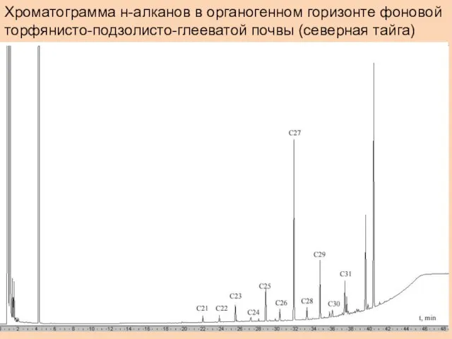 Хроматограмма н-алканов в органогенном горизонте фоновой торфянисто-подзолисто-глееватой почвы (северная тайга)