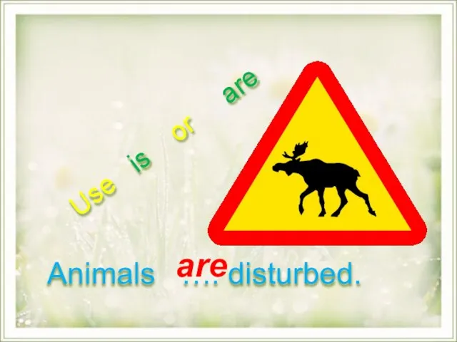 аre Use is or are Animals …. disturbed.