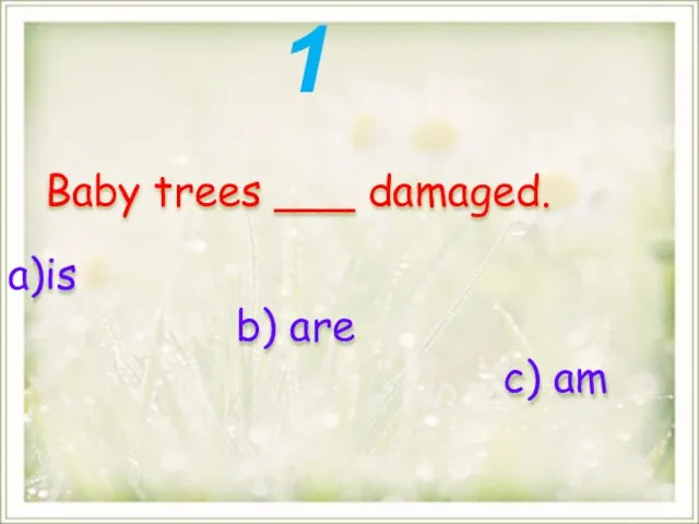 Baby trees ___ damaged. is b) are c) am 1