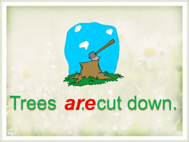 Trees … cut down. are