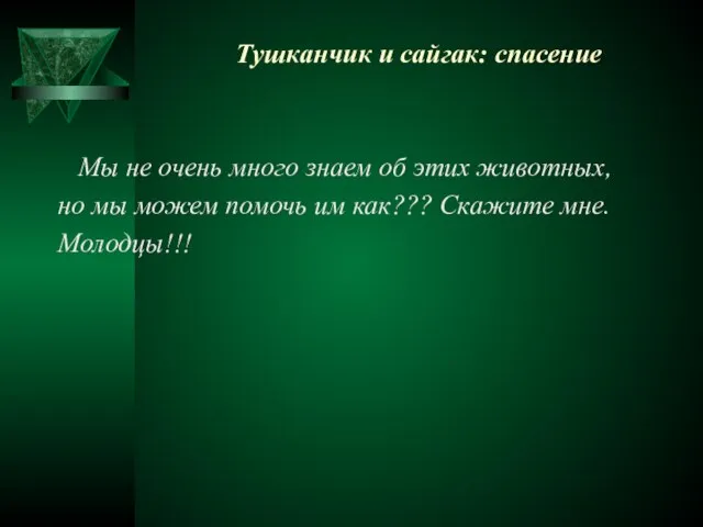 Тушканчик и сайгак: спасение Мы не очень много знаем об этих животных,