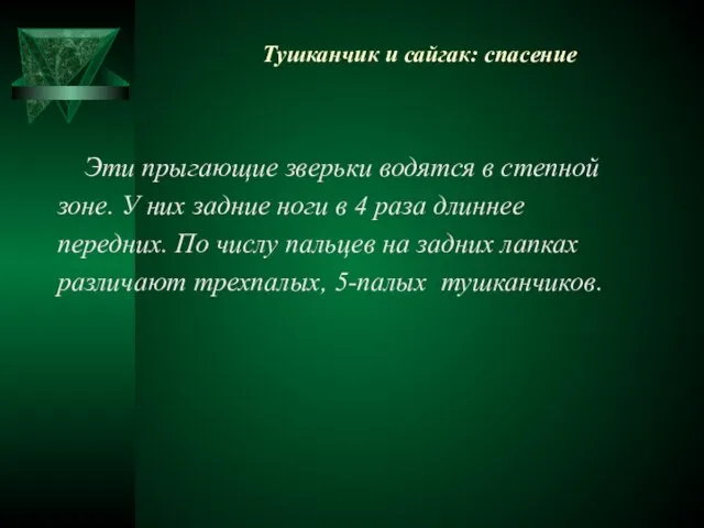 Тушканчик и сайгак: спасение Эти прыгающие зверьки водятся в степной зоне. У