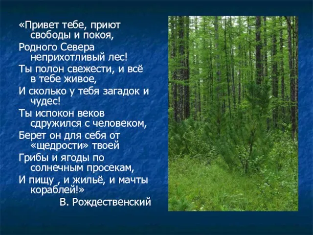 «Привет тебе, приют свободы и покоя, Родного Севера неприхотливый лес! Ты полон