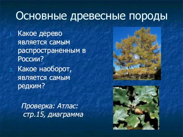 Основные древесные породы Какое дерево является самым распространенным в России? Какое наоборот,