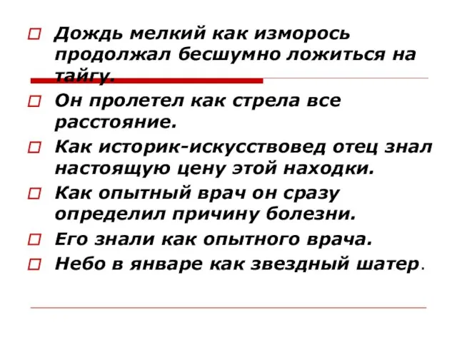 Дождь мелкий как изморось продолжал бесшумно ложиться на тайгу. Он пролетел как