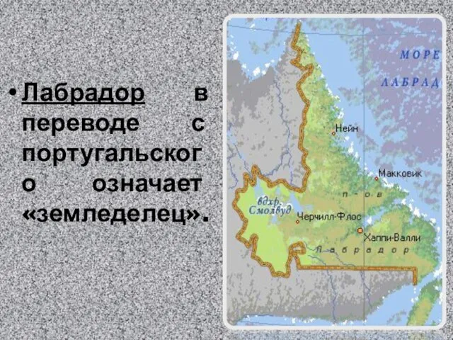 Лабрадор в переводе с португальского означает «земледелец».