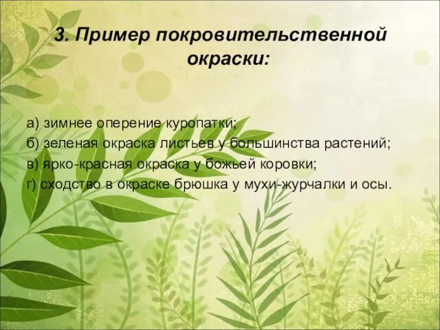 3. Пример покровительственной окраски: а) зимнее оперение куропатки; б) зеленая окраска листьев