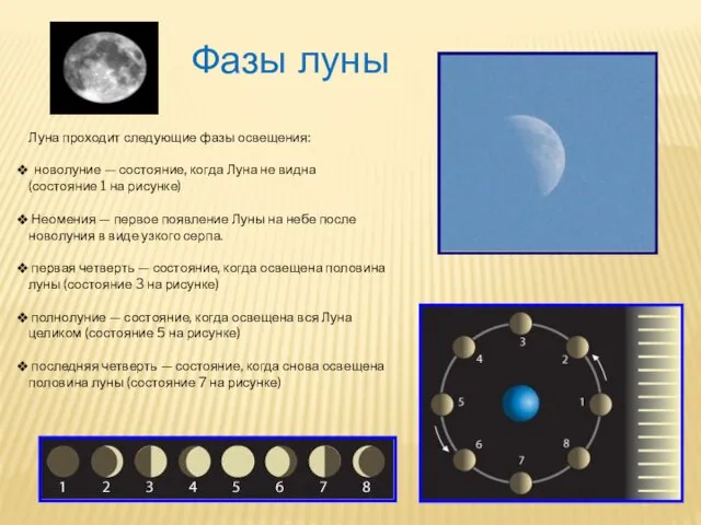 Луна проходит следующие фазы освещения: новолуние — состояние, когда Луна не видна