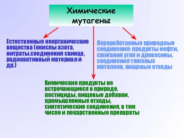 Химические мутагены Естественные неорганические вещества (окислы азота, нитраты.соединения свинца, радиоактивный материал и