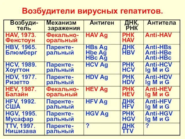 Возбудители вирусных гепатитов.