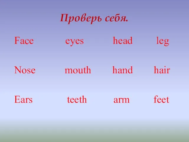 Проверь себя. Face eyes head leg Nose mouth hand hair Ears teeth arm feet