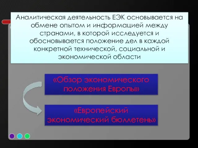 Аналитическая деятельность ЕЭК основывается на обмене опытом и информацией между странами, в