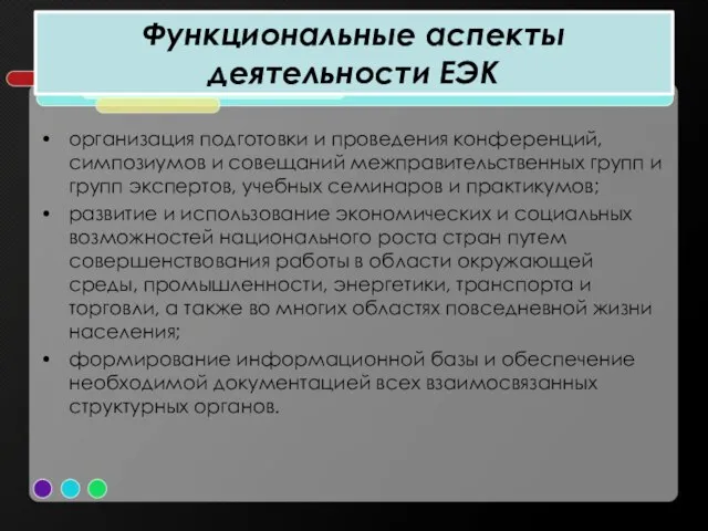 Функциональные аспекты деятельности ЕЭК организация подготовки и проведения конференций, симпозиумов и совещаний