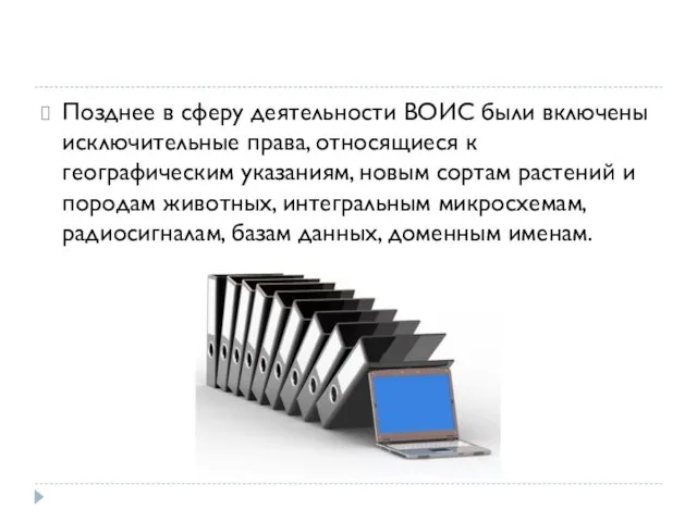 Позднее в сферу деятельности ВОИС были включены исключительные права, относящиеся к географическим