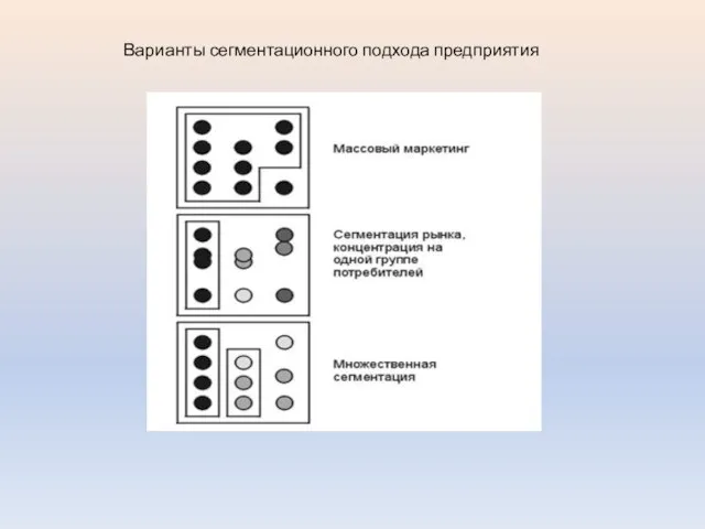 Варианты сегментационного подхода предприятия