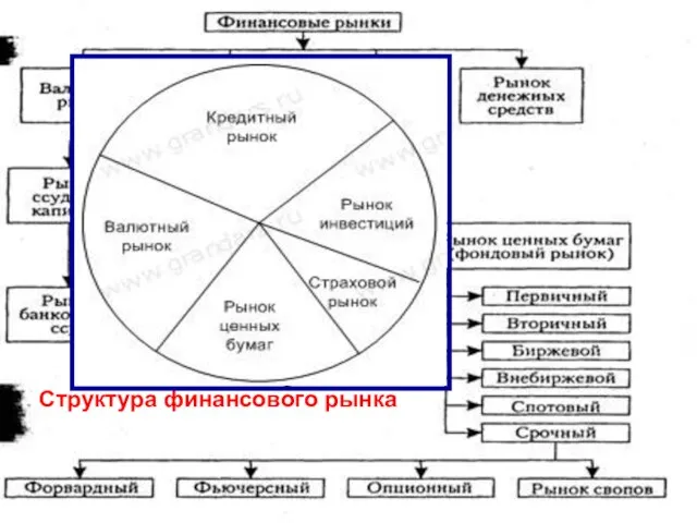 Структура финансового рынка