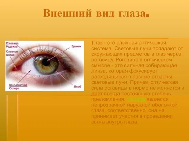 Внешний вид глаза. Глаз - это сложная оптическая система. Световые лучи попадают