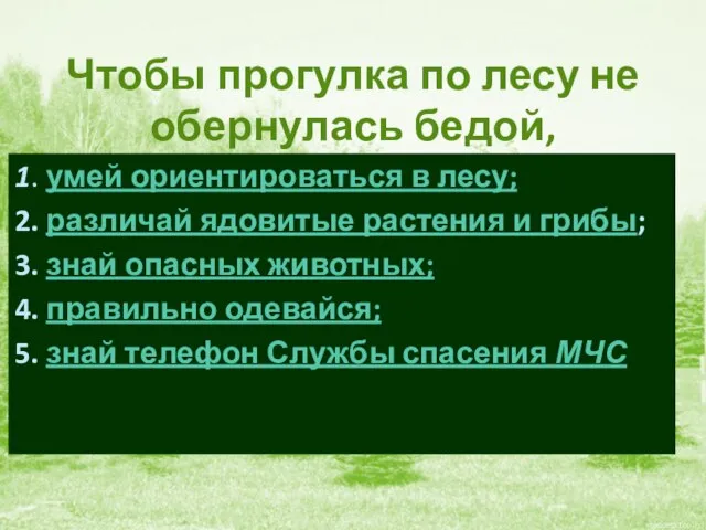 Чтобы прогулка по лесу не обернулась бедой, 1. умей ориентироваться в лесу;