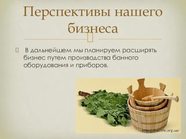 В дальнейшем мы планируем расширять бизнес путем производства банного оборудования и приборов. Перспективы нашего бизнеса