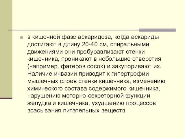 в кишечной фазе аскаридоза, когда аскариды достигают в длину 20-40 см, спиральными