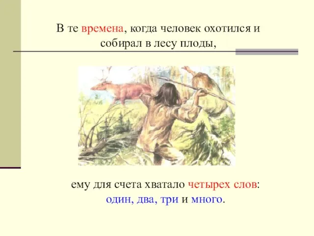 В те времена, когда человек охотился и собирал в лесу плоды, ему