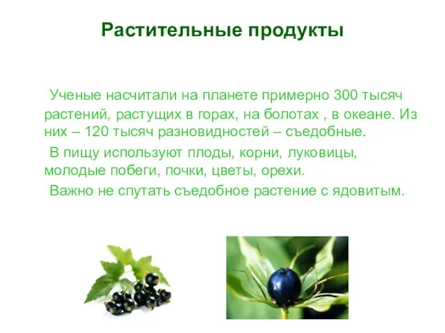 Растительные продукты Ученые насчитали на планете примерно 300 тысяч растений, растущих в