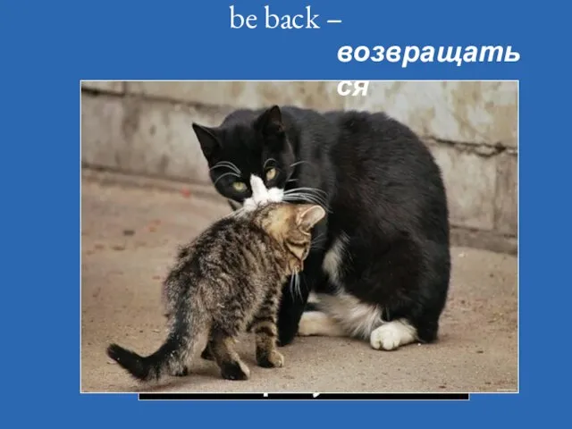 be back – возвращаться