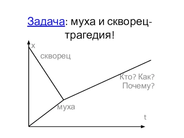 Задача: муха и скворец- трагедия! х скворец Кто? Как? Почему? муха t