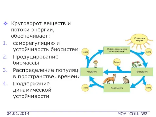 Основные процессы БГЦ Круговорот веществ и потоки энергии, обеспечивает: саморегуляцию и устойчивость