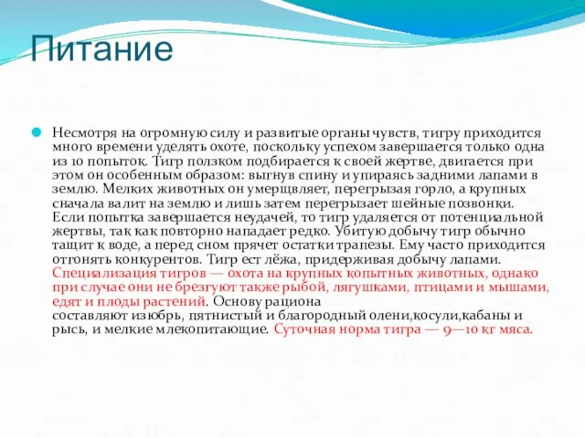 Питание Несмотря на огромную силу и развитые органы чувств, тигру приходится много