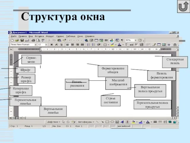 Структура окна Сервис-меню Шрифт Размер шрифта Начертание шрифта Горизонтальная линейка Вертикальная линейка