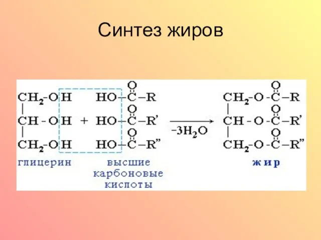 Синтез жиров