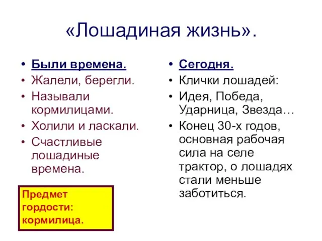 «Лошадиная жизнь». Были времена. Жалели, берегли. Называли кормилицами. Холили и ласкали. Счастливые