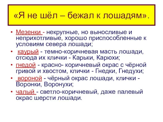 «Я не шёл – бежал к лошадям». Мезенки - некрупные, но выносливые