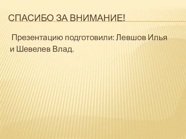 Презентацию подготовили: Левшов Илья и Шевелев Влад. Спасибо за внимание!