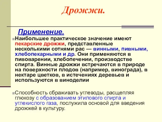 Дрожжи. Применение. Наибольшее практическое значение имеют пекарские дрожжи, представленные несколькими сотнями рас