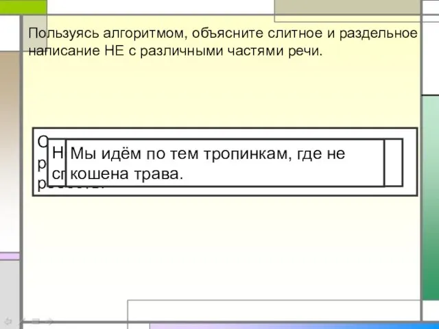 Пользуясь алгоритмом, объясните слитное и раздельное написание НЕ с различными частями речи.