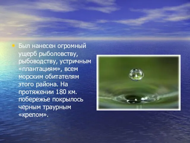 Был нанесен огромный ущерб рыболовству, рыбоводству, устричным «плантациям», всем морским обитателям этого