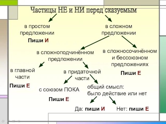 Частицы НЕ и НИ перед сказуемым в простом предложении в сложном предложении