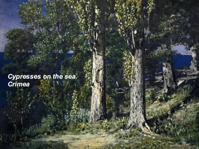 Cypresses on the sea. Crimea Cypresses on the sea. Crimea