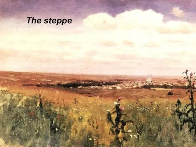 The steppe The steppe