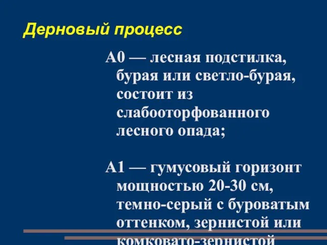 Дерновый процесс А0 — лесная подстилка, бурая или светло-бурая, состоит из слабооторфованного